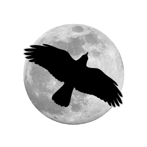 Spirit Sky Drum